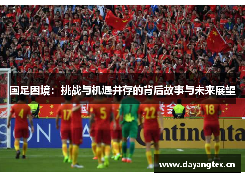 国足困境：挑战与机遇并存的背后故事与未来展望